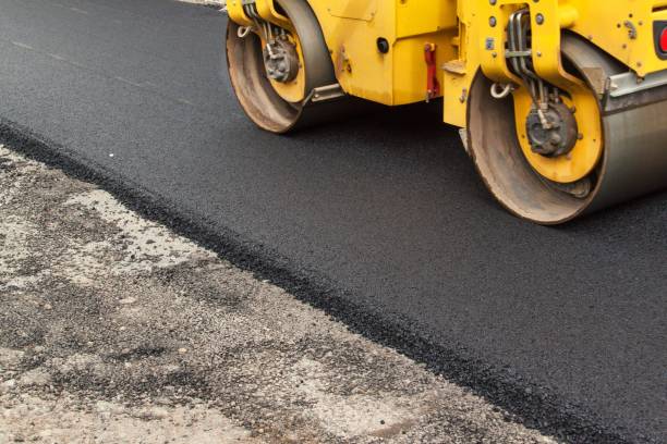 Best Residential Paver Driveway  in Robbinsdale, MN